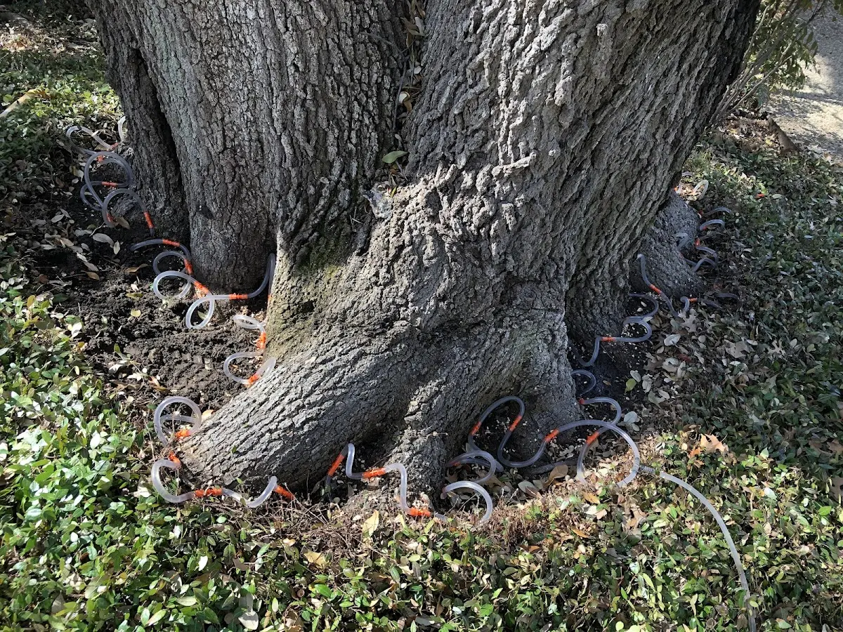 Detailed Shrub and Hedge Trimming job site in Tippo